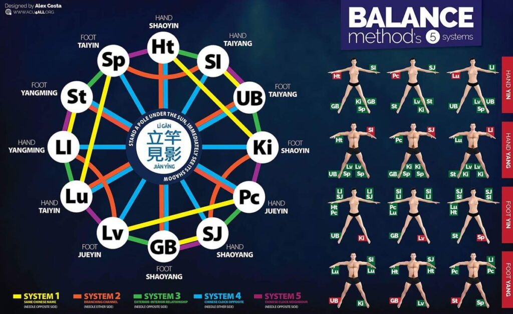 Balance Method acupuncture meridian system diagram showing relationships between organ channels and treatment systems