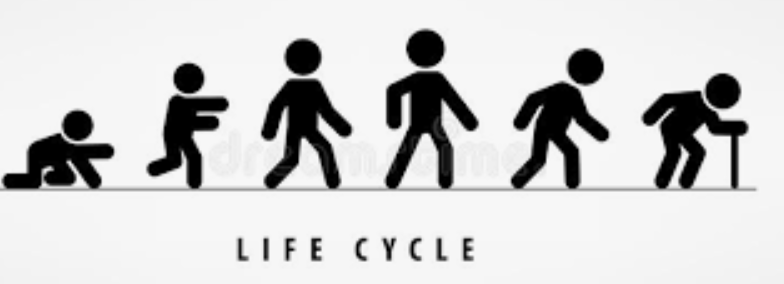 Chinese medicine for Men's Health