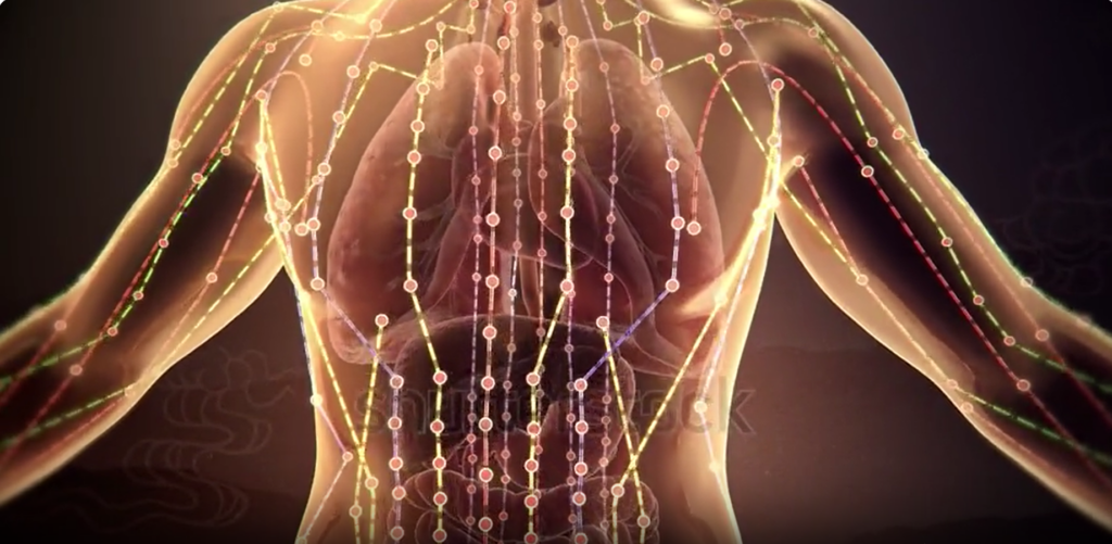 Classical Chinese medicine meridian pathways representing emotional regulation and whole-body balance